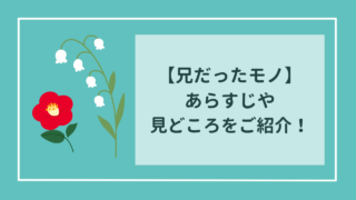 兄だったモノ　感想（見どころ・オススメしたい人など）をご紹介！